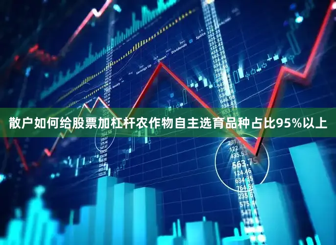 散户如何给股票加杠杆农作物自主选育品种占比95%以上