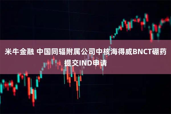 米牛金融 中国同辐附属公司中核海得威BNCT硼药提交IND申请