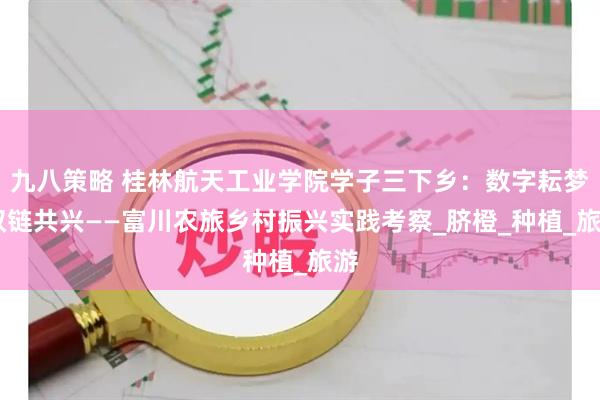 九八策略 桂林航天工业学院学子三下乡：数字耘梦 双链共兴——富川农旅乡村振兴实践考察_脐橙_种植_旅游