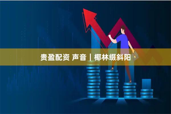 贵盈配资 声音｜椰林缀斜阳