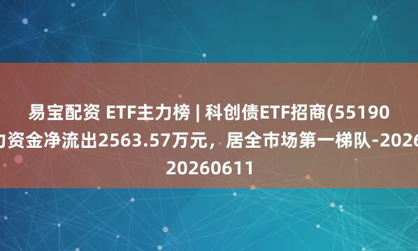 易宝配资 ETF主力榜 | 科创债ETF招商(551900)主力资金净流出2563.57万元，居全市场第一梯队-20260611