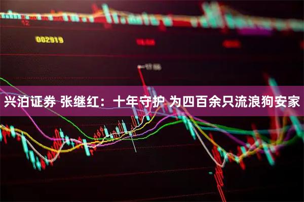 兴泊证券 张继红：十年守护 为四百余只流浪狗安家
