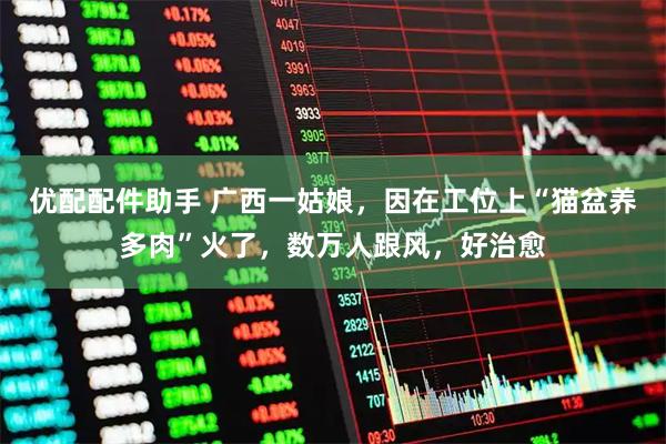 优配配件助手 广西一姑娘，因在工位上“猫盆养多肉”火了，数万人跟风，好治愈