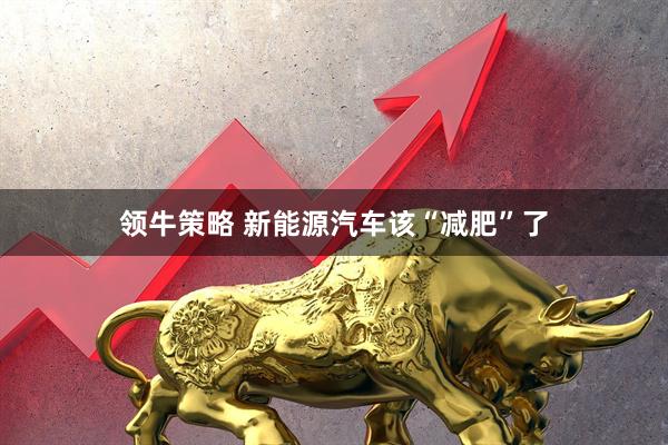 领牛策略 新能源汽车该“减肥”了
