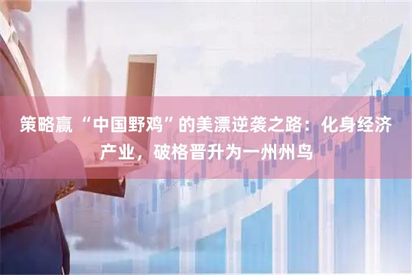 策略赢 “中国野鸡”的美漂逆袭之路：化身经济产业，破格晋升为一州州鸟