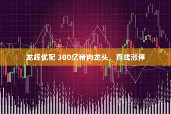 龙辉优配 300亿猪肉龙头，直线涨停
